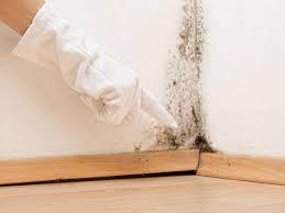 Best Mold Prevention Services in Minier, IL